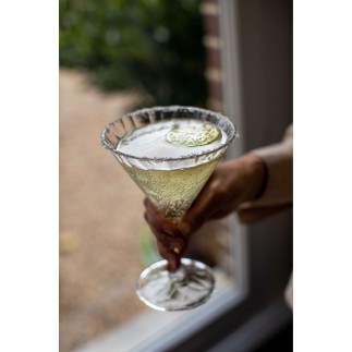 6 verres à cocktail 250 ml